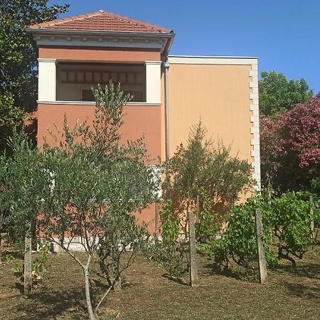 Apartments Rolovina Tivat Exterior photo