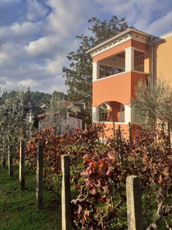Apartments Rolovina Tivat Exterior photo