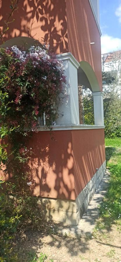 Apartments Rolovina Tivat Room photo